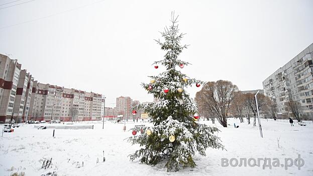 Новогодние ели украшают в микрорайонах Вологды