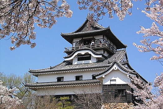 Российские туристы все чаще выбирают Японию для отдыха