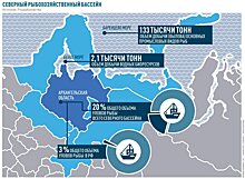 Как будет развиваться Арктический рыбопромышленный кластер