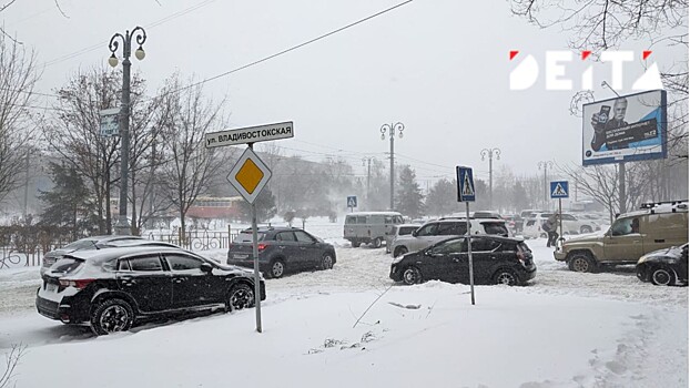 Мастер-план под угрозой: очередной концессионер Дальнего Востока оказался пустышкой