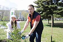 Лесничество Екатеринбурга высадили почти 2000 деревьев в память о войне