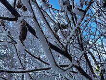 Непогода в Оренбуржье задержится: 15 января ожидаются сильный ветер и низовая метель