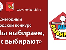 Порядка 30 заявок поступило на XX городской конкурс «Мы выбираем, нас выбирают»