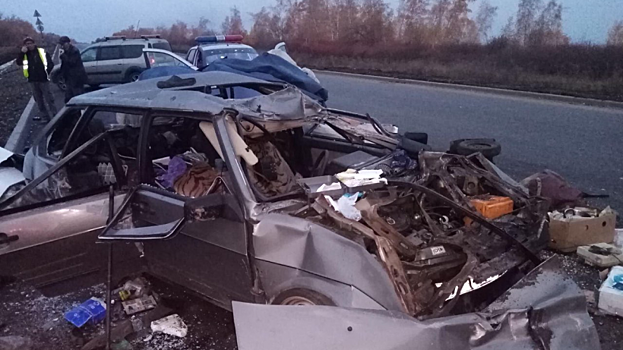 Под Лысыми Горами два пенсионера из «девятки» попали в больницу после ДТП с фурой