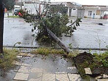 Непогода разбушевалась по всей Грузии