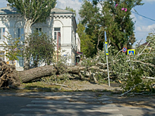 Сильный ветер повалил деревья, обрушил балкон и снес остановку в Ростове