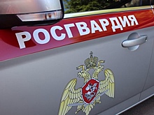 Молодого вологжанина задержали во время кражи вещей из машины