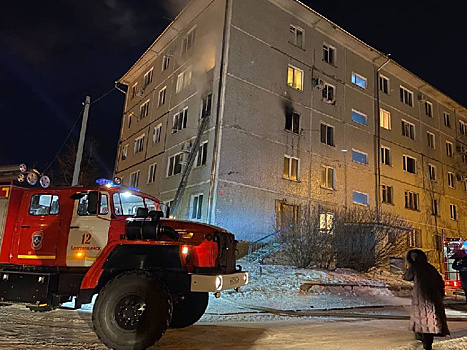 В результате пожара в жилом доме в Саратовской области погибли два человека