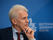 Фурсенко задумался о системе выявления педофилов в школах