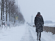 Погода в СНГ: Беларусь завалило снегом, в горах Алматы зацвели подснежники