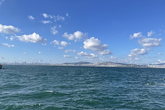 Посетившие турецкий пляж туристы пожаловались, что не могли встать с кровати