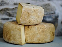 Перечислены преимущества козьего сыра