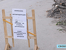 Названа цена вывоза «ботвы» с саратовских контейнерных площадок