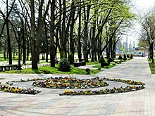 Лучше самих жителей никто не знает, как сделать жизнь комфортнее
