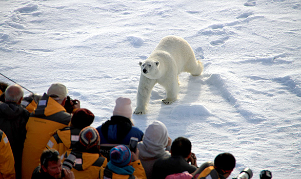В России впервые разработали стандарты для арктического туризма