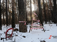 Екатеринбуржцы срывают планы московской компании построить квартал на Шарташе