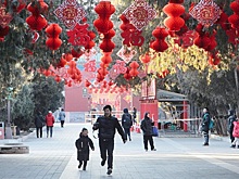 В какие страны и как часто ездили россияне в новогодние праздники