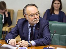 В СФ предложили оптимизировать работу с парламентом Южной Осетии
