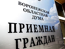 Воронежцы чаще всего обращаются к депутатам по вопросам соцподдержки
