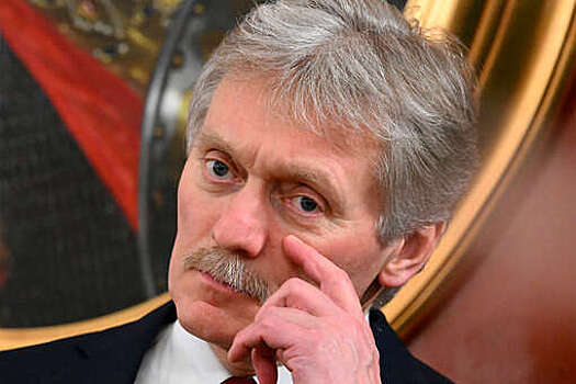 Песков: в Кремле нет планов проводить экстренное совещание Совбеза по Белгородской области