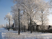 Определены лучшие места для зимнего отдыха в Подмосковье