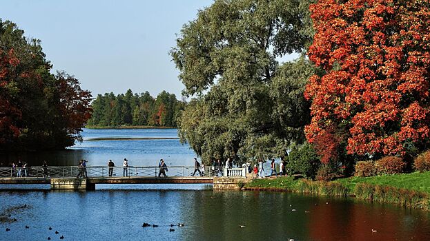 В Ленобласти построят пять комплексных отелей