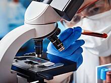 Врач объяснил всплеск мышиной лихорадки в городах России