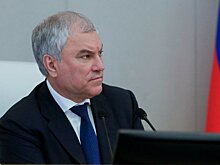 Председатель ГД: закон о самозапрете граждан на кредиты востребован и работает