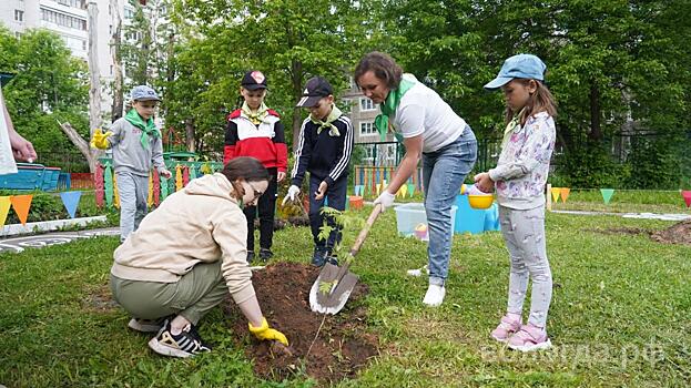 Воспитанники детского сада № 30 создали уголок леса в Вологде