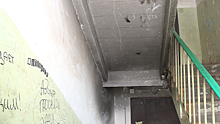 Грибок, крысы и холод: общежитие в Серпухове не ремонтировали 12 лет