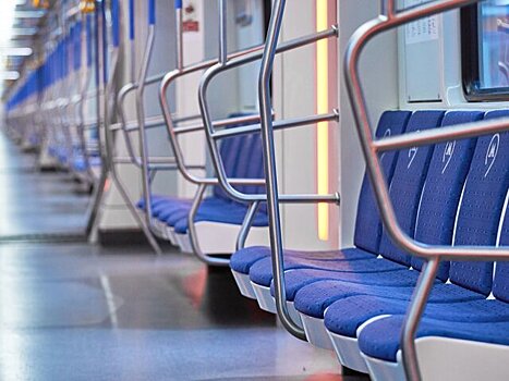 Движение на Люблинско-Дмитровской линии метро было затруднено из-за человека на пути