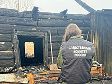 В Красноярском крае двое взрослых и ребенок погибли при пожаре