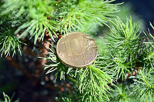 "Цифровая экономика" в декабре 2024 г. добрала 35% недостающих расходов