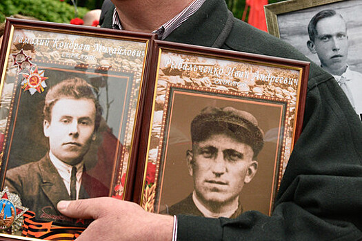 Член ОП РФ Холодов: портреты ветеранов можно клеить только на задние стекла машины