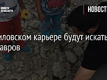В Путиловском карьере будут искать динозавров