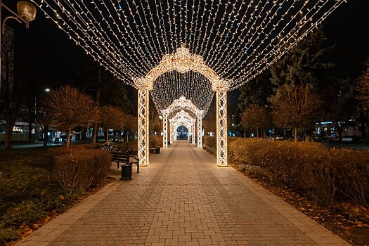 Мэр Краснодара призвал беречь новогоднюю иллюминацию Галицкого: «не надо седлать животных»