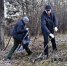 Врио губернаторов начали с городов и концессий