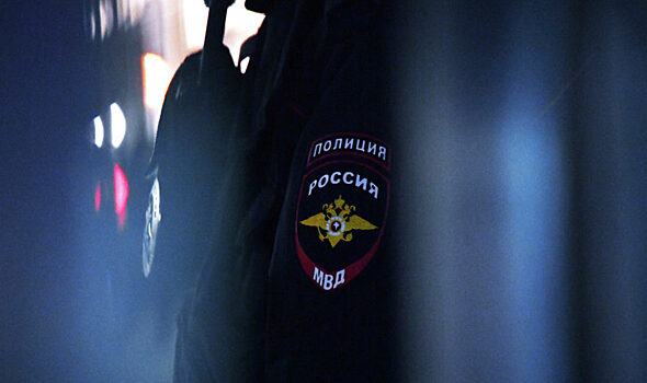 Полиция Сочи расследует избиение собаки бейсбольной битой