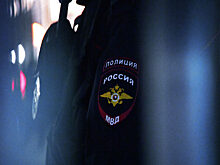 Полиция Сочи расследует избиение собаки бейсбольной битой