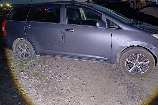 Водитель без прав насмерть сбила двухлетнего ребенка в Туве