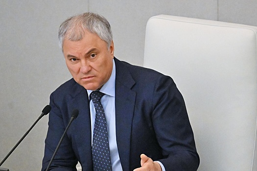 Володин: граждане, судимые по некоторым статьям, не смогут работать курьерами