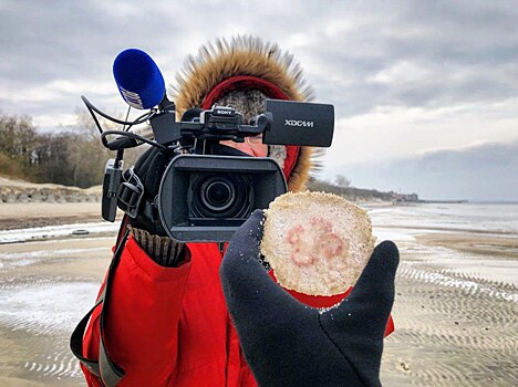 Берег Балтийского моря оказался заполнен вмерзшими в песок медузами