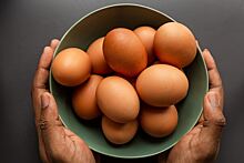 Врач рассказала, сколько яиц можно съедать в неделю