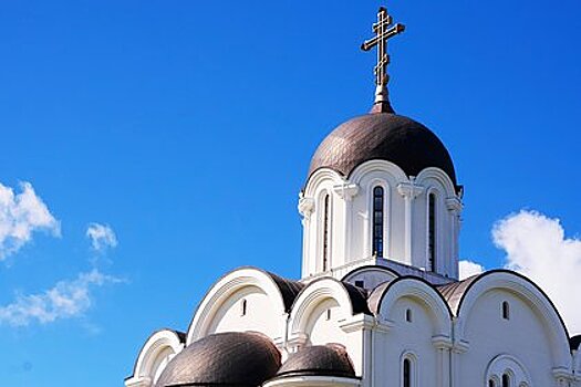 Русская православная церковь призвала не унижать представителей ЛГБТ