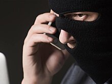 Володин: закон против телефонных мошенников начнет действовать в апреле