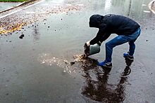 Ремонт дороги с помощью щебня: в Петербурге разгорается скандал