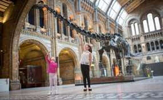 Динозавр Диппи совершит турне по музеям Британии