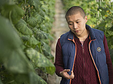 Рынки соседних стран заинтересованы в сельхозпродукции из КР — Акенеев