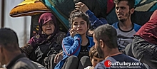 Более 190 тыс. сирийцев стали гражданами Турции