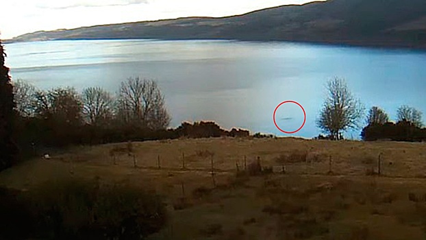 Пользователи Сети заметили лох-несское чудовище во время прямой трансляции с видом на озеро